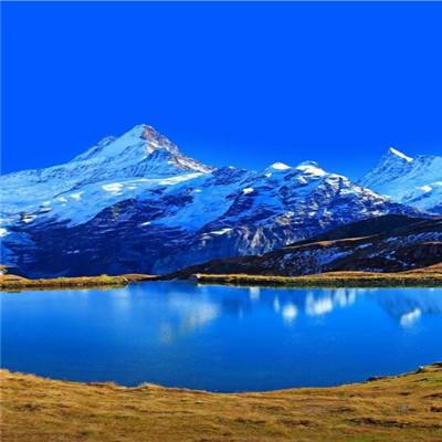 yabo官网网页版app下载